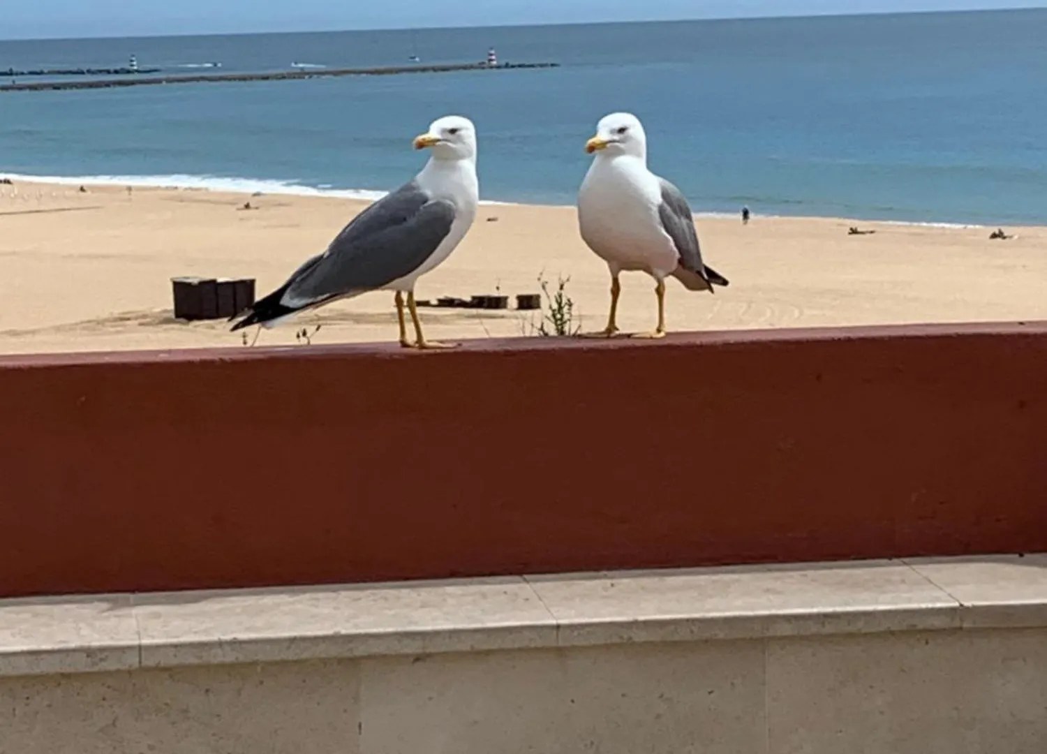 Apartamento Aconchegante, Portimao Praia Da Rocha