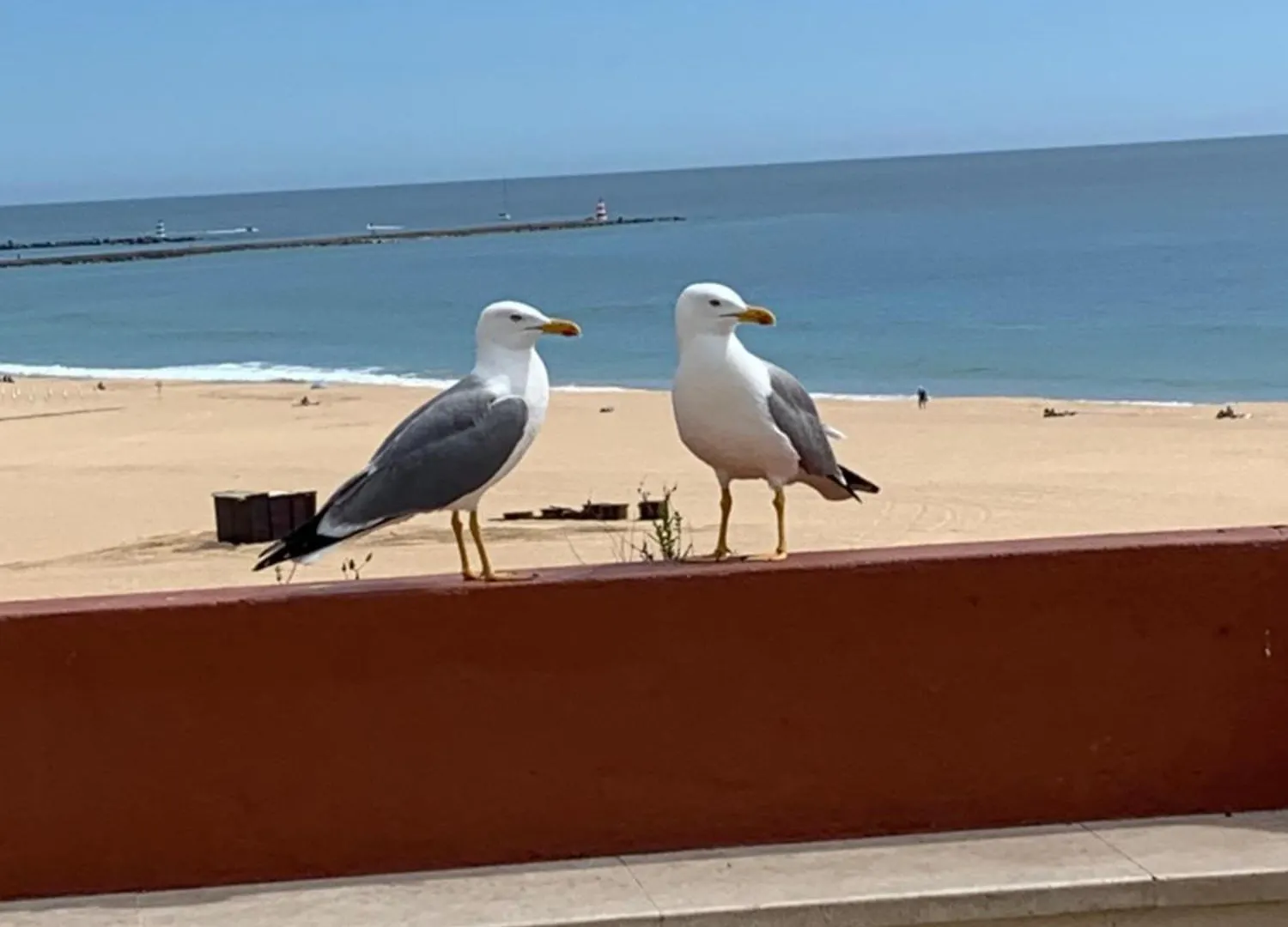 Apartamento Aconchegante, Portimao Praia Da Rocha Apartment